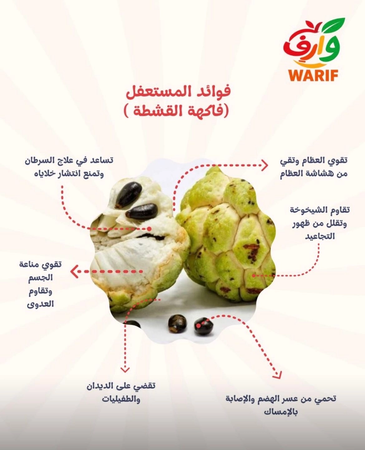 سمائل/المدره